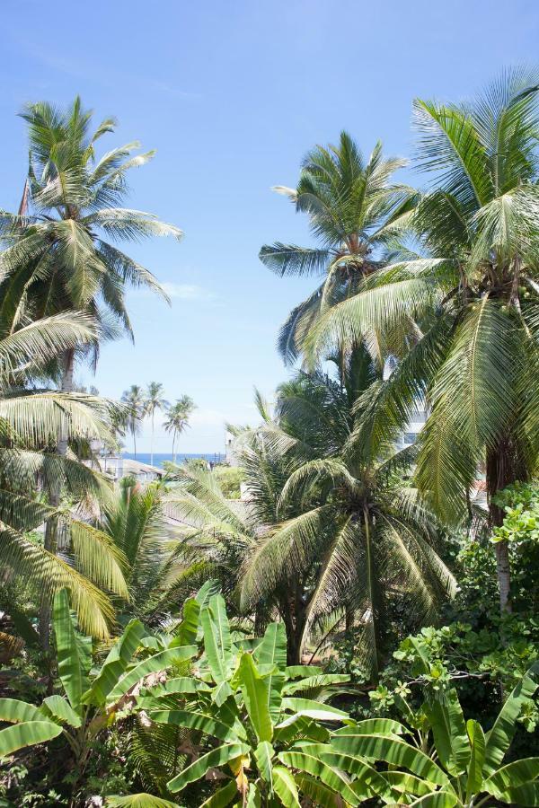 Alvas House Hotell Hikkaduwa Exteriör bild